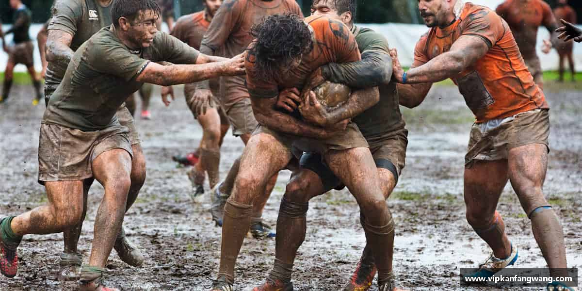 知道emc易倍·体育